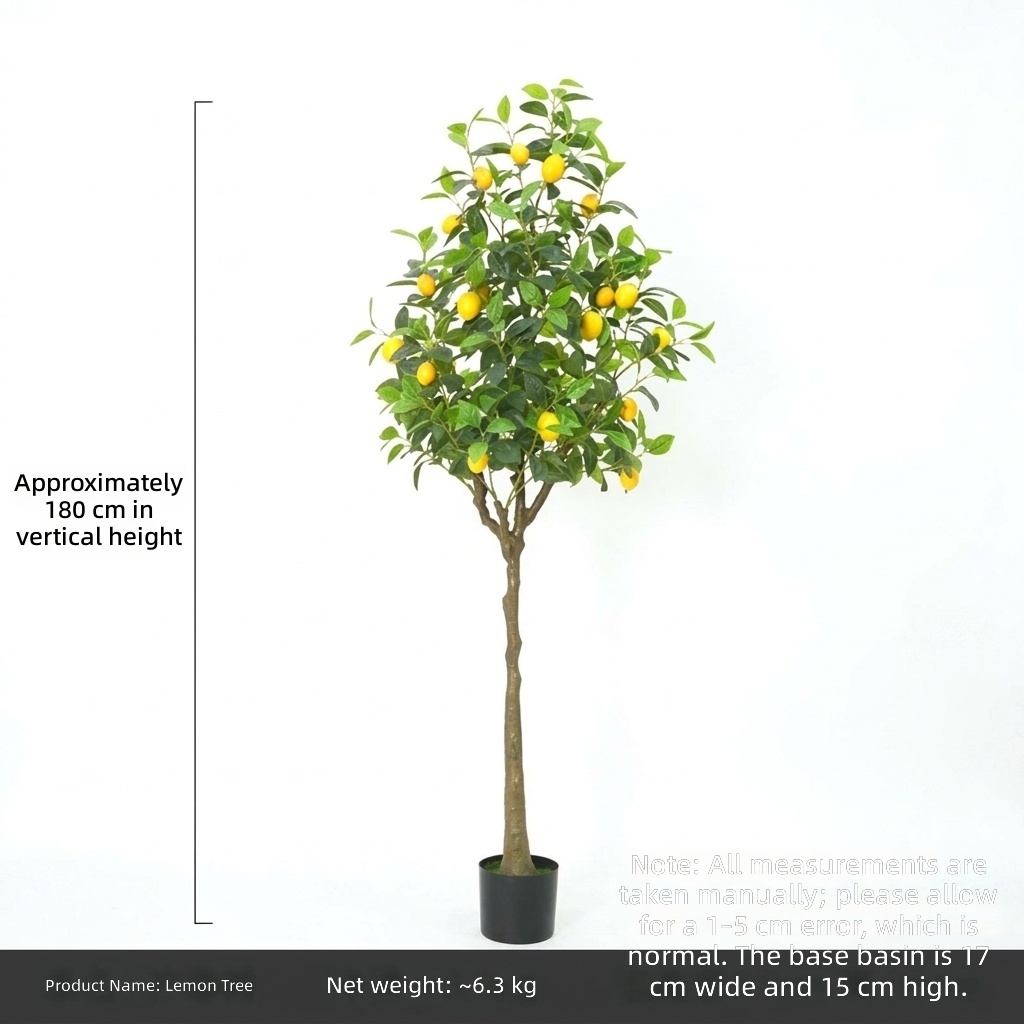 Árbol de limón de 1,5 metros.