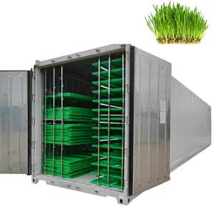 Voll automatische kommerzielle Kuhgersten-Hydrokultur-Futtersystem-Container maschine