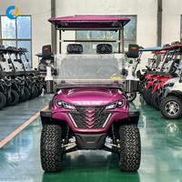 Voiturette électrique Robetaa homologuée pour la route, suspension indépendante, batterie au plomb-acide, voiturette de golf électrique - Offre Spéciale