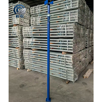 Andamios Metálicos Profesionales Q235/Q345 Tipo Ringlock Layher para Construcción, Soporte de Acero Estándar Europeo
