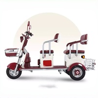 Triciclo Eléctrico para Adultos con Batería de 48V y 600W, Marco de Hierro, Frenos de Disco Delanteros/Tambor Traseros, para Viajes Diarios de Personas Mayores y Niños