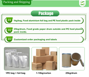 공급 100% 천연 은행 나무 <span class=keywords><strong>Biloba</strong></span> 잎 추출물 분말 - Product Image 3