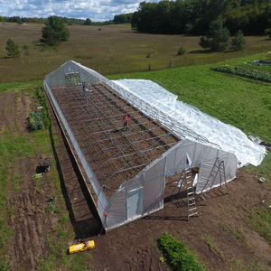 Serres <span class=keywords><strong>tunnel</strong></span> solaires à simple portée de 8x30m, d'<span class=keywords><strong>occasion</strong></span>, pour tomates, avec systèmes d'irrigation et film plastique pour jardin - Product Image 3