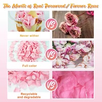 Pétales de rose véritable préservés de haute qualité, longue durée (3-5 ans), pour décorations florales de mariage et cadeaux de la Fête des Mères