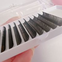 Vente chaude Wispy Wet Look Cosplay Shape lash Fluffy Individual Lashes Set Extensions de cils naturels et doux Wet Look