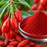 Extrait de baies de Goji de qualité alimentaire naturelle en poudre, rapport 10:1, emballé sous vide pour la santé des yeux