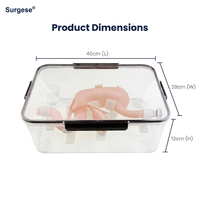 Modèle de pratique d'endoscopie gastro-intestinale, simulateur biomimétique d'estomac et de duodénum pour la formation aux compétences en gastroscopie et ERCP, OEM