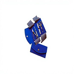 ASAP Brand Blue Stainless Steel Professional 10-in-1 Manicure <b>Kit</b> <b>Nail</b> Clipper Scissor File Portable <b>Nail</b> Care Set Adults - Product Image 3
