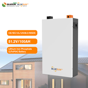 Batería de Litio de 5kWh 10kWh para Montaje en Pared, 51.2V 100Ah 200Ah, Almacenamiento de Energía Solar para el Hogar, Gran Venta - Product Image 1