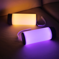 Ventes directes d'usine Café Bar Portable rechargeable RGB lampe de table Camping en plein air atmosphère sans fil LED veilleuse