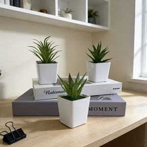 Plante artificielle en pot en plastique, mini bonsaï succulent en forme d'herbe d'aloe vera, plante verte décorative pour le salon, le meuble TV - Product Image 2