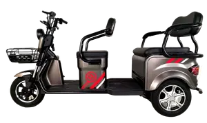 DS-305 2023 novo design scooter de entrega elétrica promoção para comida e serviço de entrega de pacotes em promoção venda quente
