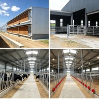 Structure en acier pour bâtiment agricole à charge lourde : hangar avicole, grange pour bétail, porcherie, bergerie, poulailler, atelier agricole préfabriqué en acier