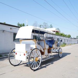 Carrozas turísticas eléctricas de tres filas, personalizadas de fábrica con carrocería blanca y asientos azules, carrozas retro en venta - Product Image 6