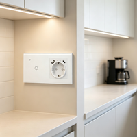 Interruptor de Pared Inteligente WiFi UBARO Tuya con Enchufe Schuko Europeo, USB Tipo C, Monitor de Energía, Panel Táctil de Vidrio Templado, Compatible con Control por Voz