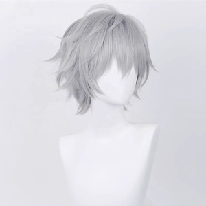 คาวอรุ นางิสะคอสเพลย์วิกผมอะนิเมะ EVA สั้นสีม่วงสีเทาเงินผมสังเคราะห์ทนความร้อนวิกผมฮาโลวีน - Product Image 5