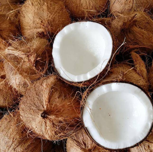 Máquina Descascaradora de Coco Manual y Automática de Alta Productividad 400-600 piezas/h Marca REYES 220/380V - Product Image 4