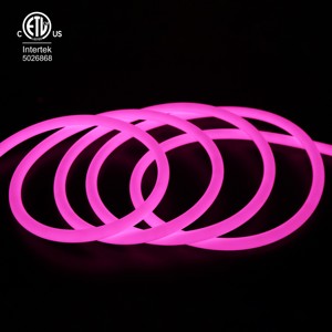 <span class=keywords><strong>Led</strong></span> linh hoạt ánh sáng Neon dây ngoài trời 10 wát/mét 24V đa màu sắc <span class=keywords><strong>LED</strong></span> Neon Flex dây Ánh Sáng 5 Meter mỗi cuộn <span class=keywords><strong>Led</strong></span> Neon dây Ánh Sáng - Product Image 6