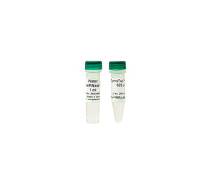 2x <span class=keywords><strong>Hot</strong></span> <span class=keywords><strong>Start</strong></span> Taq <span class=keywords><strong>PCR</strong></span> Master Mix para Amplificación de ADN con Bisulfito, QPCR, Clonación TA y Análisis de Metilación - Product Image 1