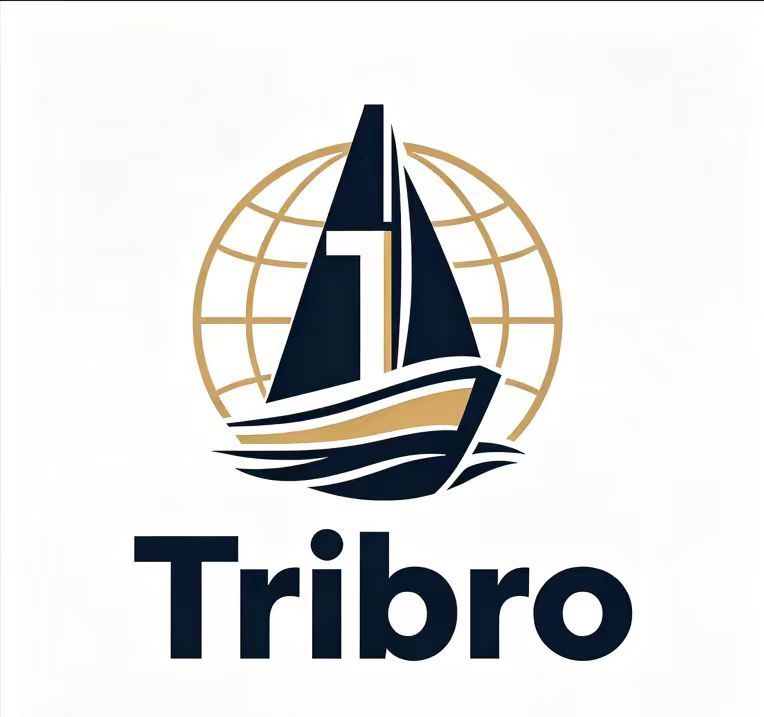 TriBro HK International Limited logo