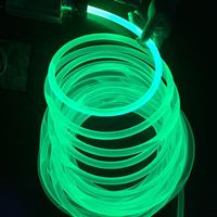 Bande de guidage lumineux transparente de 6,0 mm, fibre optique en plastique à émission latérale, fibre optique à changement de couleur arc-en-ciel