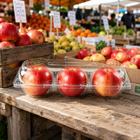 Contenant transparent en PET pour pommes avec compartiments en forme de dôme pour 3 pommes fraîches, emballage jetable de qualité alimentaire, vente en gros, vente au détail, fête