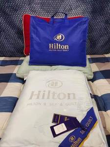 Factory Hot <strong>Sale</strong> <strong>Mulberry</strong> Silk Comforter Decoration Quilt Core Frivolous Hilton Hotel Quilt Blanket with Hand <strong>Bag</strong> - Product Image 4