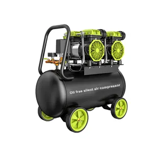 12/30/60 Liters 0.8mpa Silent Oil Free Mini Air Compressor Machine Best Air Compressor For Spray Painting