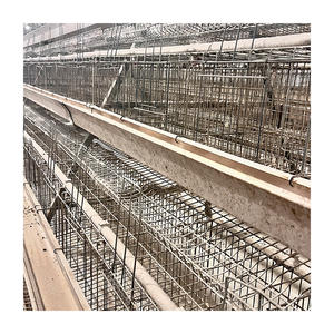 Uygun fiyat kümes hayvanları tarım ekipmanı A tipi katman tavuk kafesi 2000 kuş için otomatik sistemli - Product Image 4