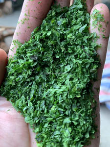 Aonori Ulva Lactuca <span class=keywords><strong>Aosa</strong></span> seca - Product Image 2