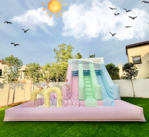 Combo de toboggan <span class=keywords><strong>gonflable</strong></span> de couleur douce pour la location d'événement d'anniversaire et la <span class=keywords><strong>structure</strong></span> de divertissement d'amusement de famille de jardin - Product Image 3