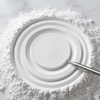 Poudre d'argile kaolinique calcinée HONGSEN en gros, blanche, haute pureté 99% (43,2% Al2O3, faible Fe2O3, SiO2) pour usage céramique, ciment, papier
