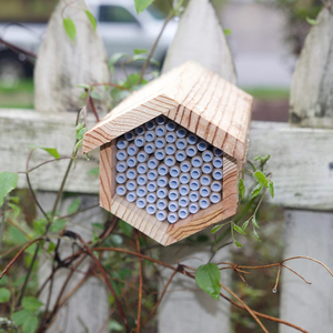 ใหม่ไม้ที่เรียบง่ายแขวนผนังรังผึ้ง, สวนกลางแจ้งแขวนรังผึ้ง, รังแมลงไม้เนื้อแข็งสร้างสรรค์ - Product Image 3