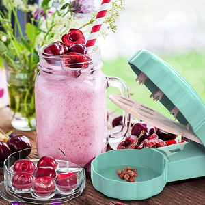 Pilon de cerise-outil <span class=keywords><strong>professionnel</strong></span> de pilon d'olive, extracteur de pierre de cerise avec fosse et récipient à jus, 6 cerises à la fois - Product Image 6