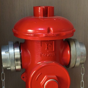 Hydrant anti-collision pour incendies au sol |   Robinet d'incendie flexible extérieur en fonte thermolaquée 2/3 voies DN65 DN80 1.6MPa - Product Image 6