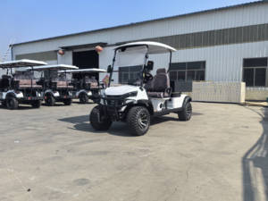 Mini Elektrische Auto 2024 G Wagon Golfauto Kleine Elektrische Auto - Product Image 4