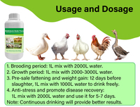 Supplément Avicole Multivitamine Liquide Oral Personnalisé en Usine pour Poulets de Chair et Poules Pondeuses : Gain de Poids, Meilleure Consommation Alimentaire