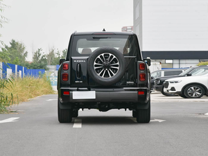 Great Wall Haval H9 SUV <span class=keywords><strong>4x4</strong></span> 2025, Veicolo 1.5T Automatico <span class=keywords><strong>4x4</strong></span> a Benzina, Nuova Automobile H9 - Product Image 4