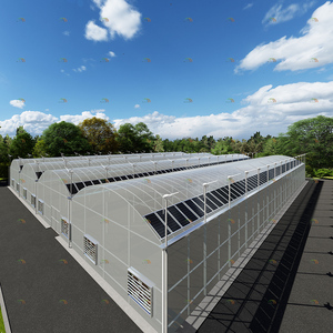 <span class=keywords><strong>Serre</strong></span> photovoltaïque à économie d'énergie pour la culture de légumes et de fleurs agricoles bon marché - Product Image 3