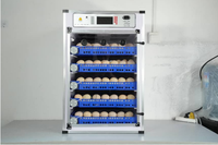 Incubateurs domestiques intelligents à double alimentation solaire et électrique, capacité 340 œufs, en PVC, vente directe en gros