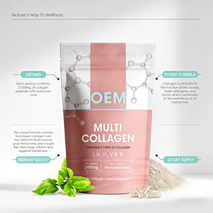 แคปซูลคอลลาเจนเปปไทด์ OEM ODM หลายชนิด 90 เม็ด 5 ประเภท ชนิดที่ 1 2 3 5 X พร้อมวิตามินซี กรดไฮยาลูโรนิก อาหารเสริม - Product Image 4
