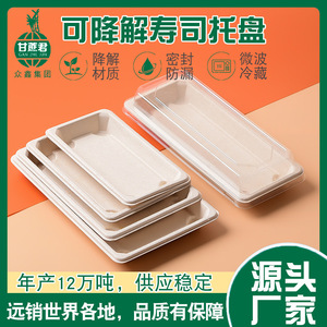 Barquettes à sushi biodégradables en pulpe de canne à sucre 1834g pour pique-nique, vaisselle jetable - Product Image 5