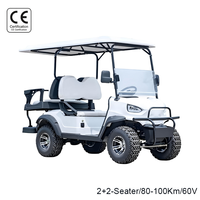 Carrito de Golf Eléctrico de 4 Plazas, Directo de Fábrica Tarion OEM/ODM, Llantas Todoterreno de Aleación de Aluminio de 12'', Autonomía de 90 km, Velocidad de 35 km/h, 60V
