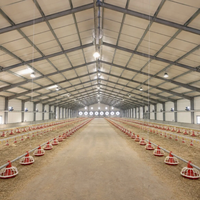 Bâtiment d'élevage avicole multi-étages en structure acier préfabriquée pour poulailler et élevage de poules pondeuses, avec garantie de 5 ans