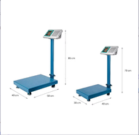 Balance de banc pliable OEM économique et durable de 200 kg avec grande plateforme et écran LCD certifiée CE