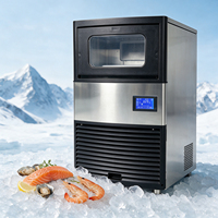 Machine à glace commerciale 100 kg/jour en acier inoxydable 304, fabrication directe de glace pilée pour sushis, fruits de mer, hot pot, buffet