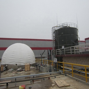 Rifiuti di <span class=keywords><strong>Biogas</strong></span> energetico per generare progetti di centrali elettriche - Product Image 1
