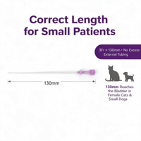 Cathéter pour chat FLUTD avec stylet