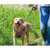 Laisse de chien robuste anti-traction avec absorption des chocs et siège auto