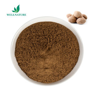 Poudre d'extrait de noix de muscade en gros Wellnatural - Product Image 3